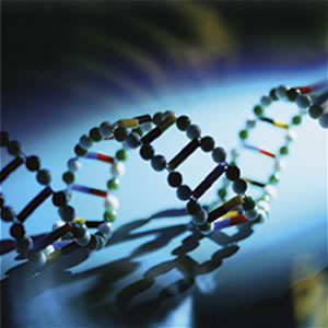 dna-pictures3