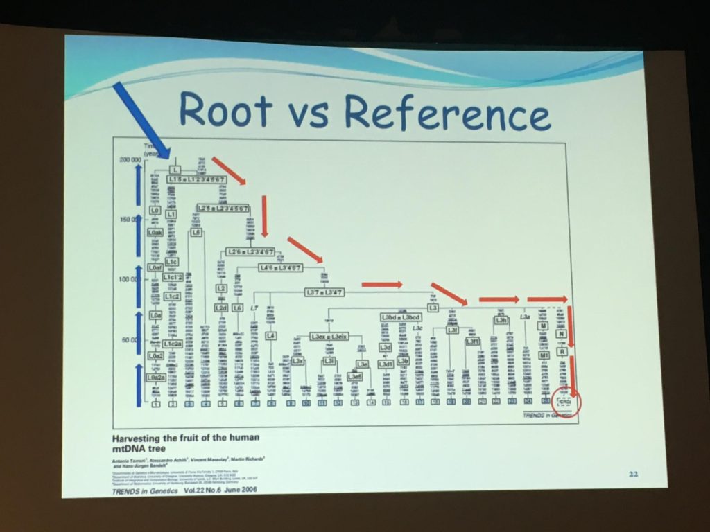 root-vs-reference